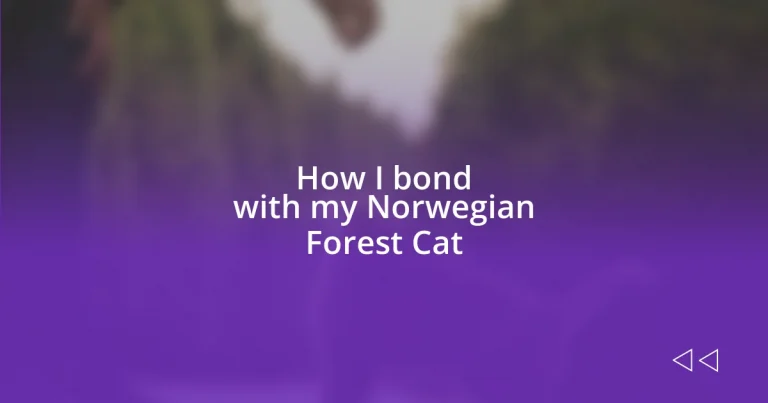 How I bond with my Norwegian Forest Cat