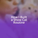 How I Built a Show Cat Routine