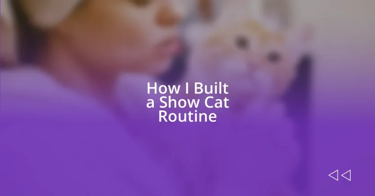 How I Built a Show Cat Routine