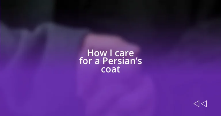 How I care for a Persian’s coat