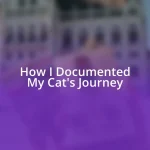 How I Documented My Cat’s Journey