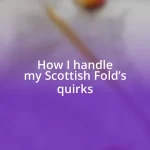 How I handle my Scottish Fold’s quirks