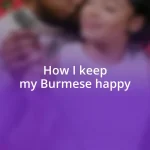 How I keep my Burmese happy