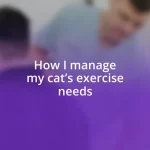 How I manage my cat’s exercise needs