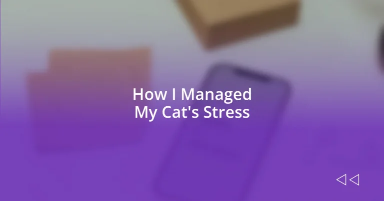 How I Managed My Cat’s Stress