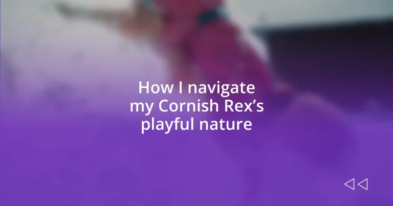 How I navigate my Cornish Rex’s playful nature