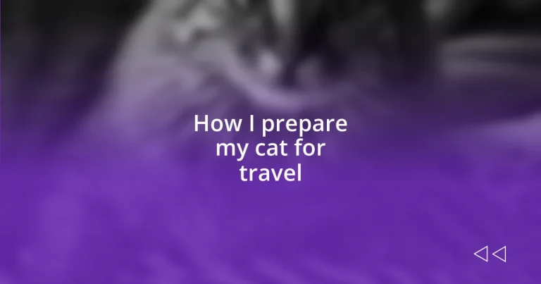 How I prepare my cat for travel