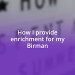 How I provide enrichment for my Birman