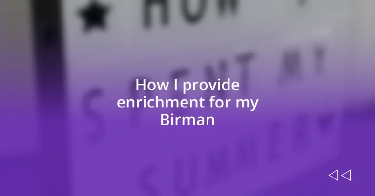 How I provide enrichment for my Birman