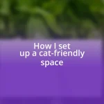 How I set up a cat-friendly space