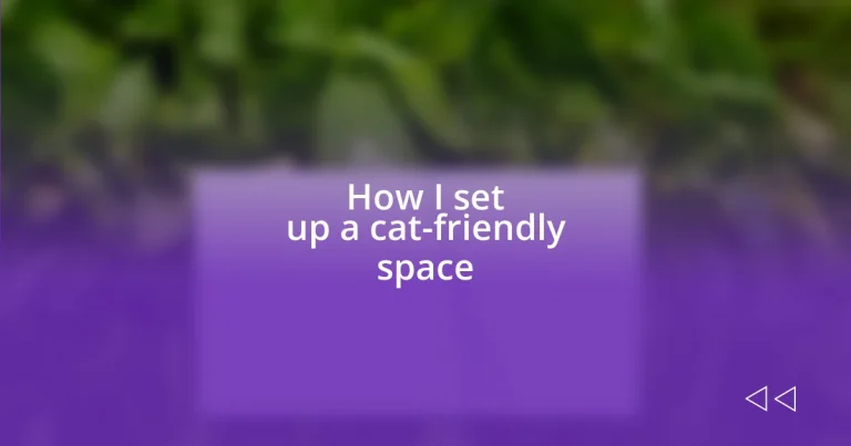 How I set up a cat-friendly space