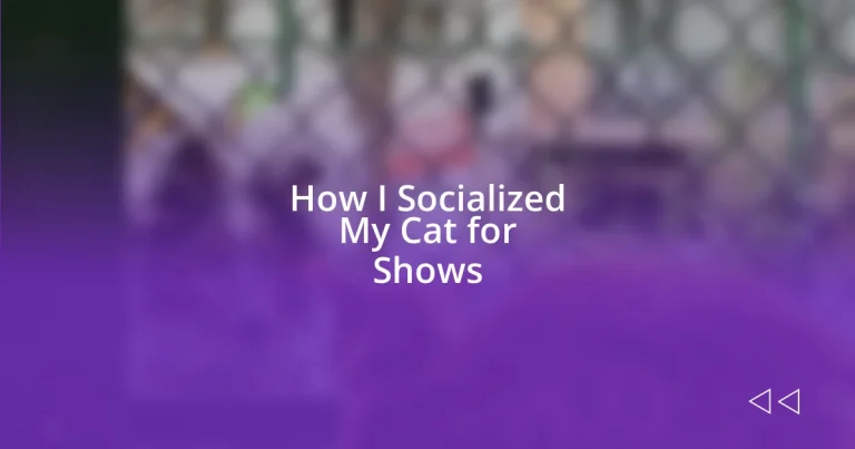 How I Socialized My Cat for Shows