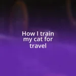 How I train my cat for travel