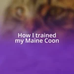 How I trained my Maine Coon