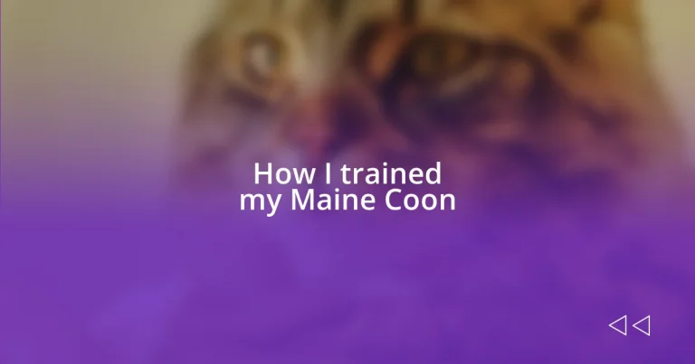 How I trained my Maine Coon