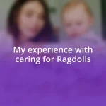 My experience with caring for Ragdolls