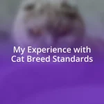 My Experience with Cat Breed Standards