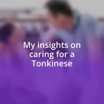 My insights on caring for a Tonkinese