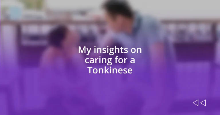 My insights on caring for a Tonkinese