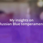 My insights on Russian Blue temperament