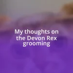 My thoughts on the Devon Rex grooming