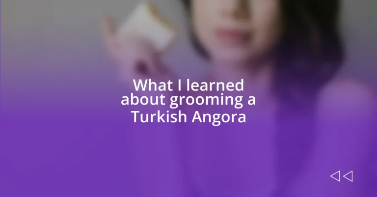 What I learned about grooming a Turkish Angora