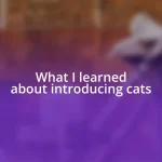 What I learned about introducing cats