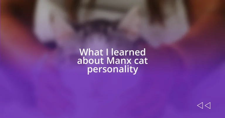 What I learned about Manx cat personality