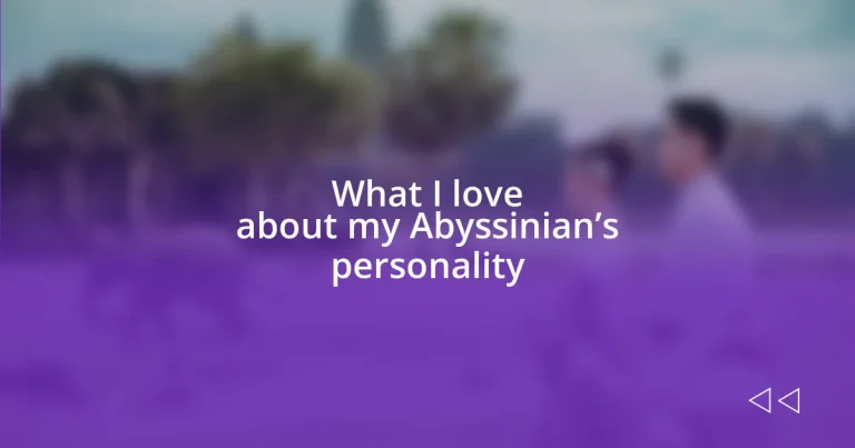 What I love about my Abyssinian’s personality