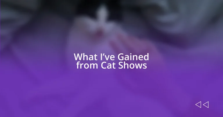 What I’ve Gained from Cat Shows