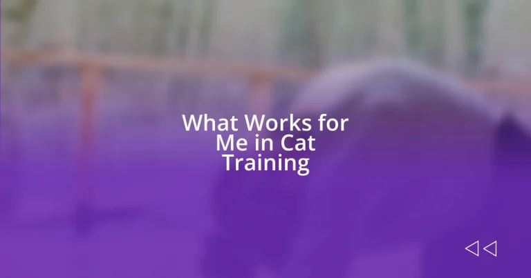 What Works for Me in Cat Training