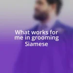 What works for me in grooming Siamese