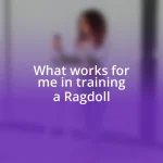 What works for me in training a Ragdoll