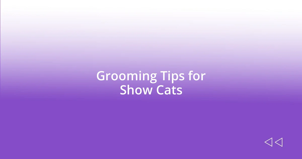 Grooming Tips for Show Cats