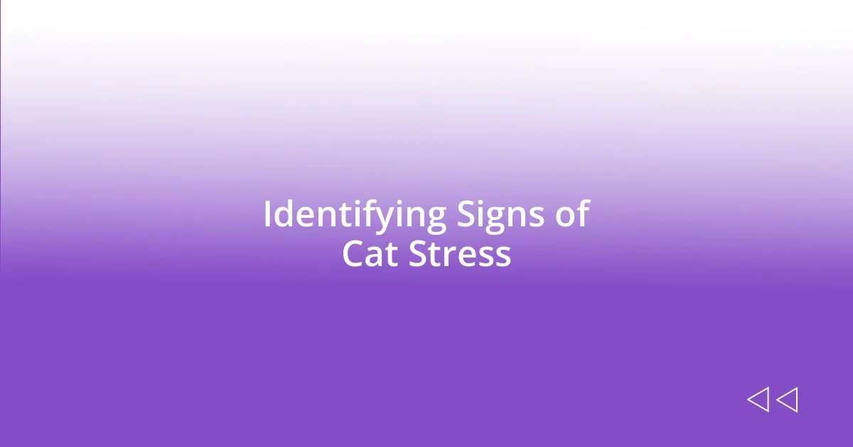 Identifying Signs of Cat Stress