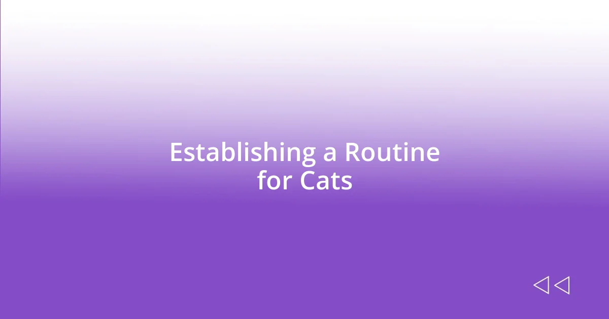 Establishing a Routine for Cats