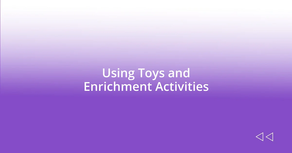 Using Toys and Enrichment Activities