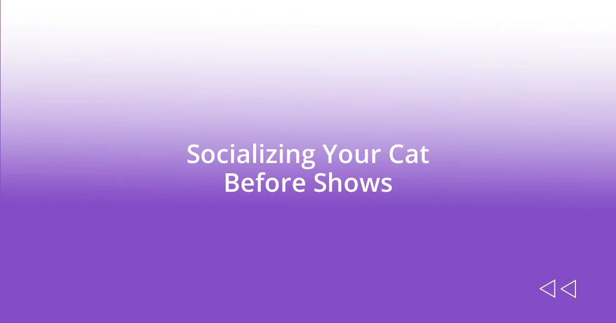 Socializing Your Cat Before Shows