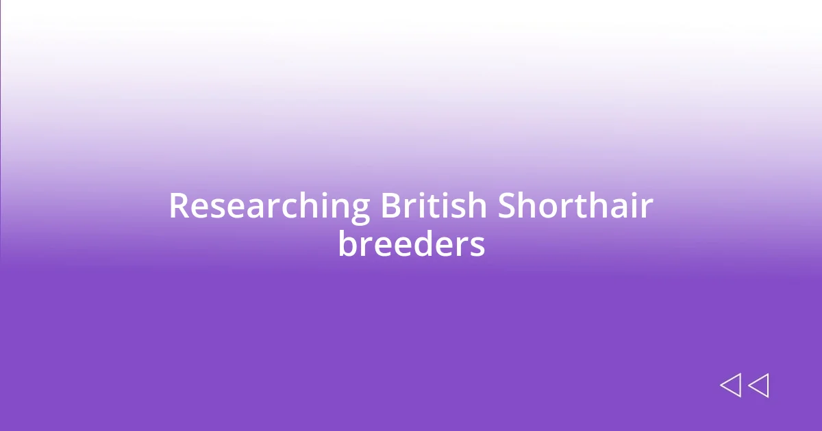 Researching British Shorthair breeders