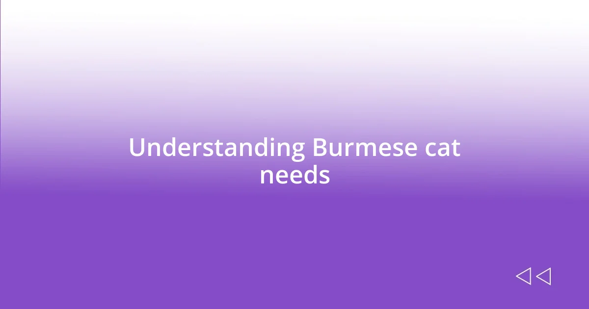 Understanding Burmese cat needs