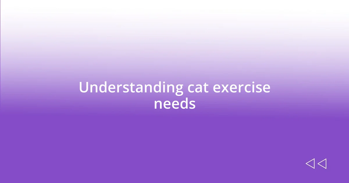 Understanding cat exercise needs