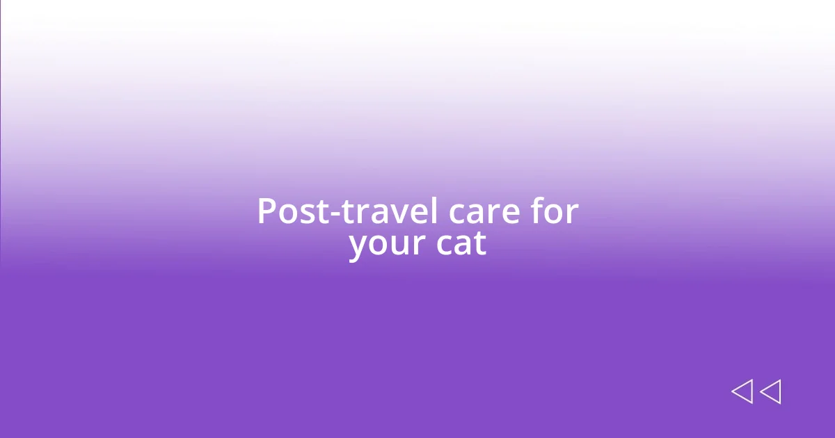 Post-travel care for your cat