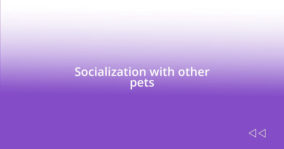 Socialization with other pets