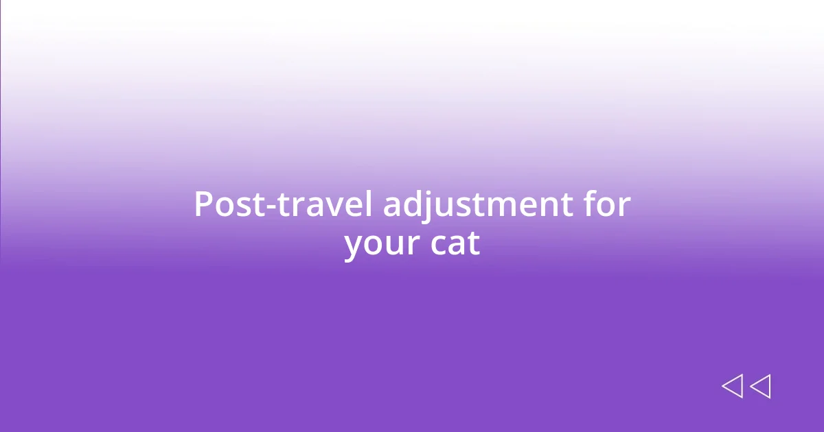 Post-travel adjustment for your cat