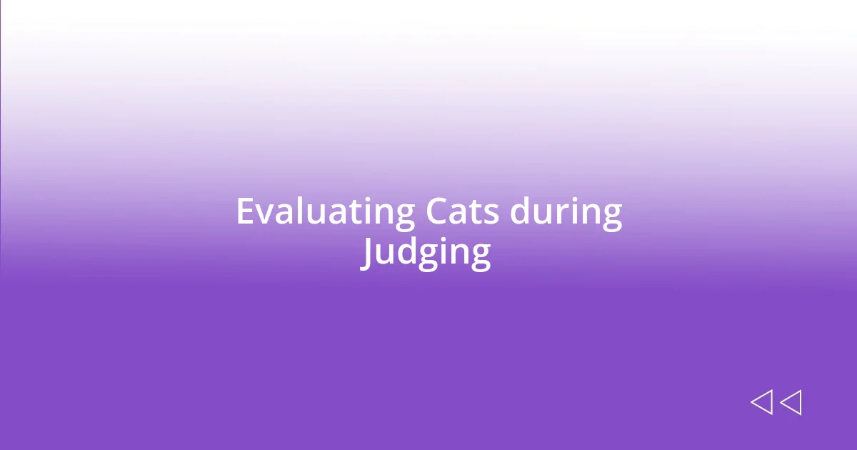 Evaluating Cats during Judging