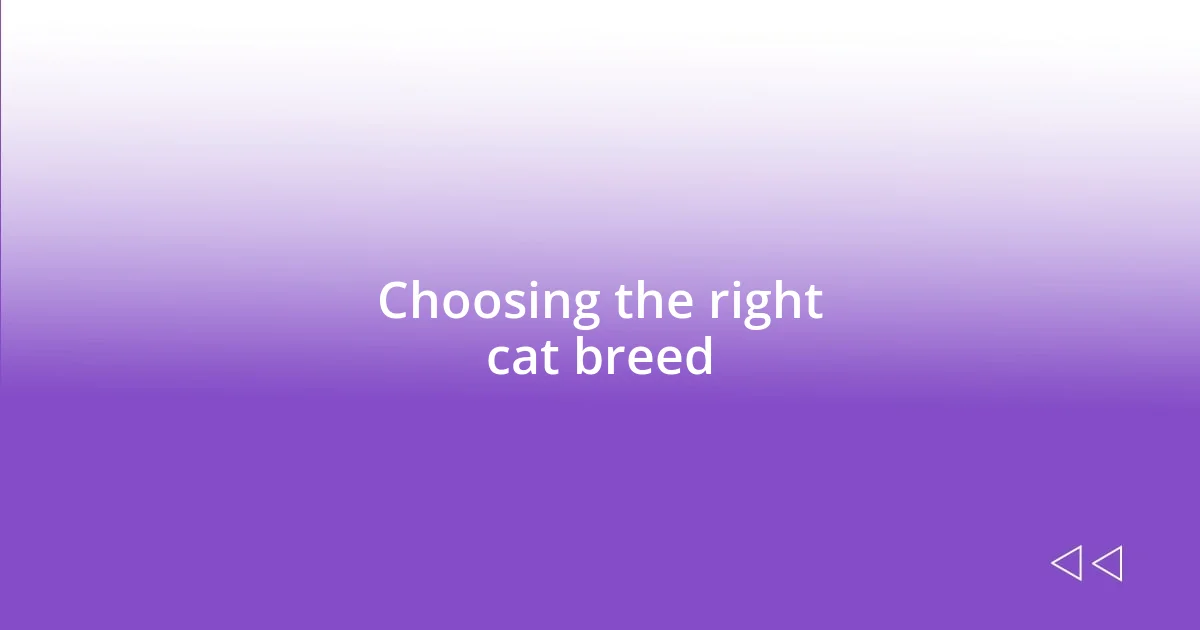 Choosing the right cat breed