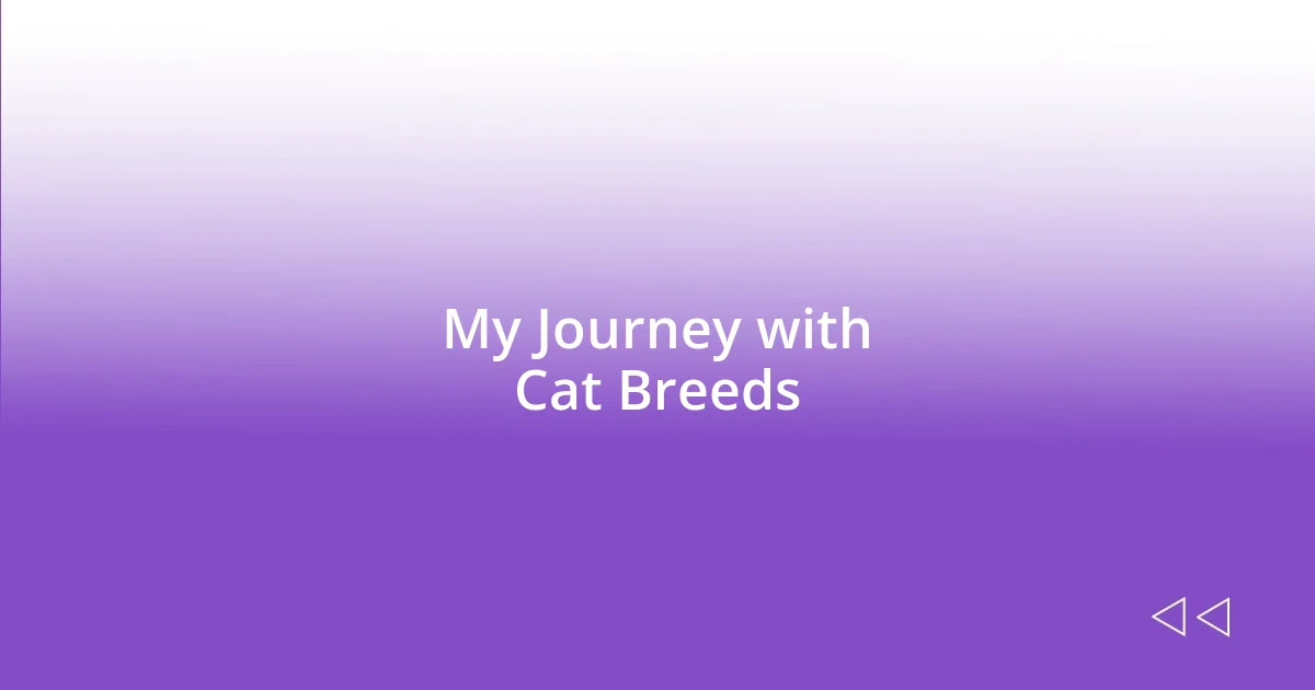 My Journey with Cat Breeds