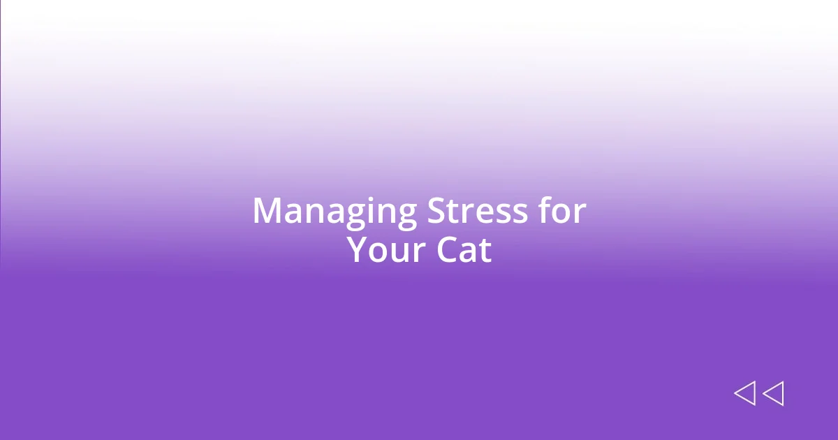 Managing Stress for Your Cat