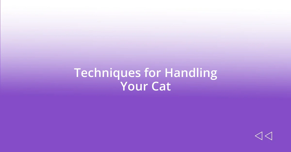 Techniques for Handling Your Cat