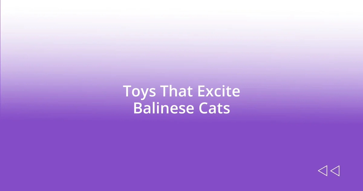 Toys That Excite Balinese Cats